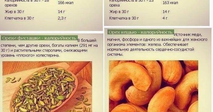 Грецкий орех: состав, калорийность, польза и вред для здоровья