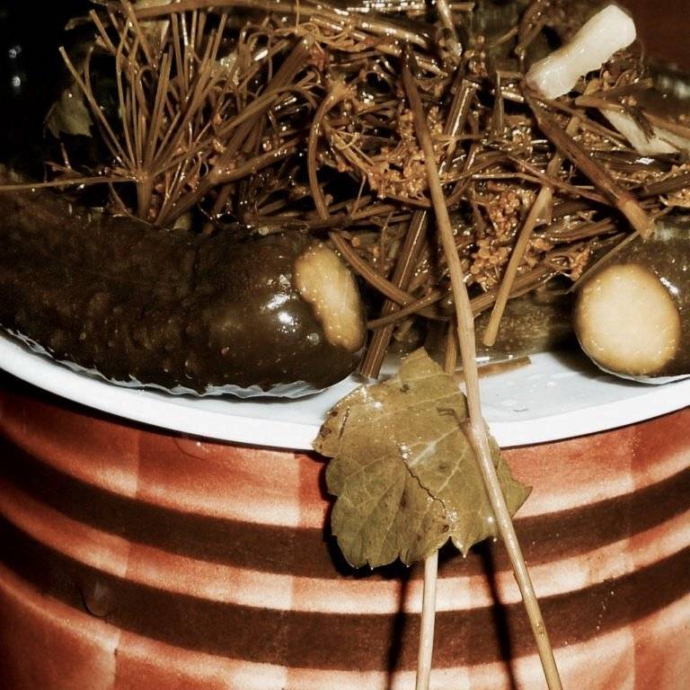 Засолка огурцов в бочке или дубовой кадке на зиму: рецепты, видео