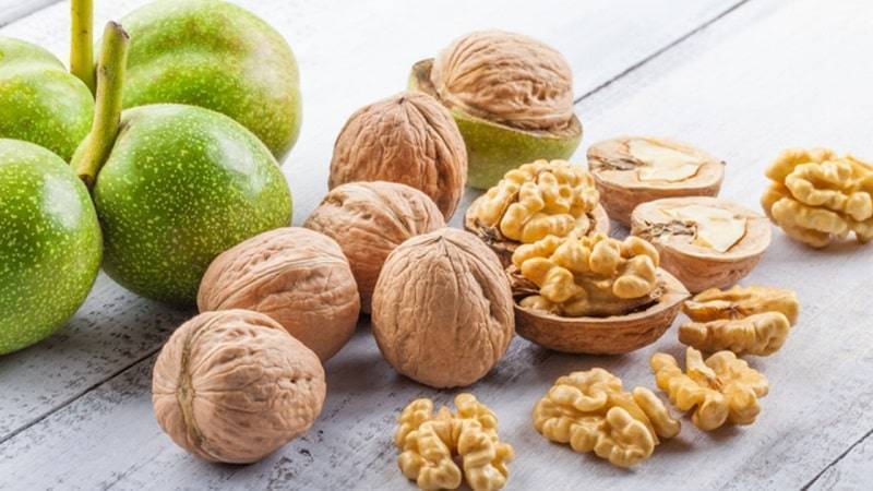 Орехи при похудении: какие можно есть, а какие нет