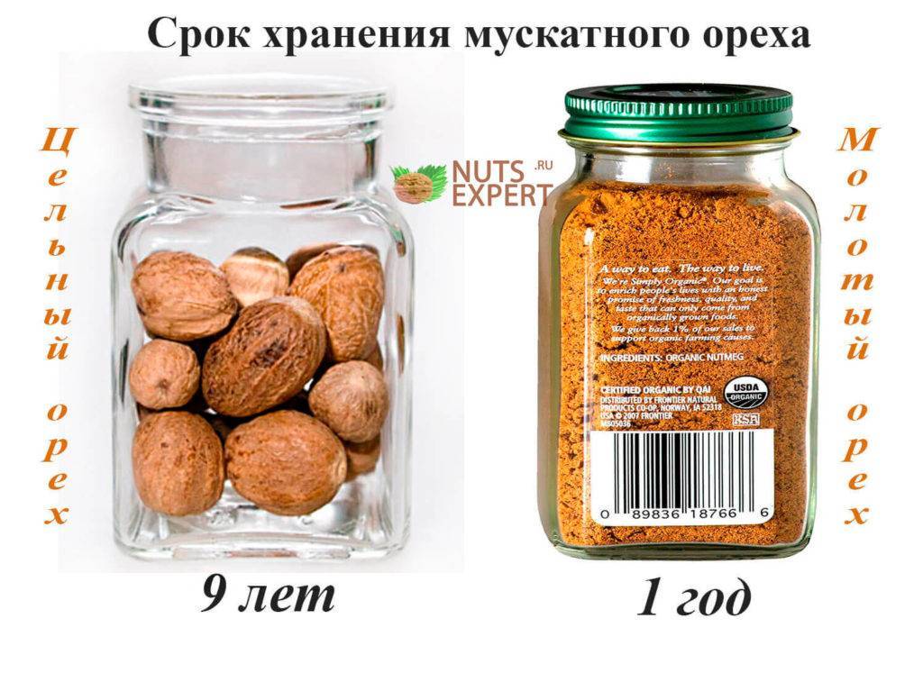 Как хранить грецкие орехи: очищенные и в скорлупе, сколько хранятся
как хранить грецкие орехи: очищенные и в скорлупе, сколько хранятся