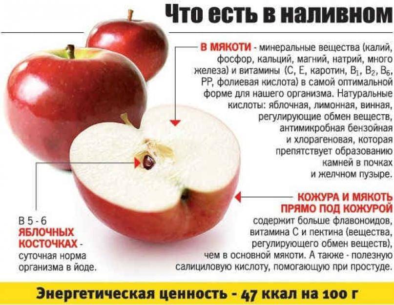 Можно ли есть косточки от яблок, их польза и вред отравление.ру
можно ли есть косточки от яблок, их польза и вред