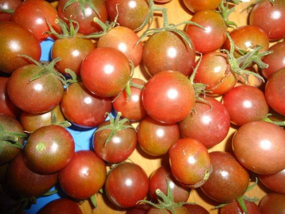 Консервированные помидоры на вишневой веточке