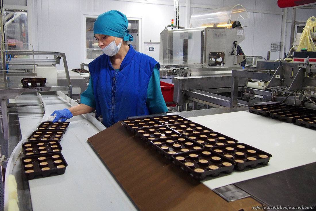 Выращивание орехов как бизнес. расчеты и советы :: businessman.ru