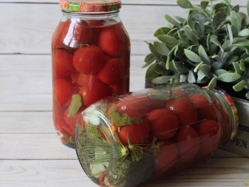 Рецепты засолки бочковых помидор