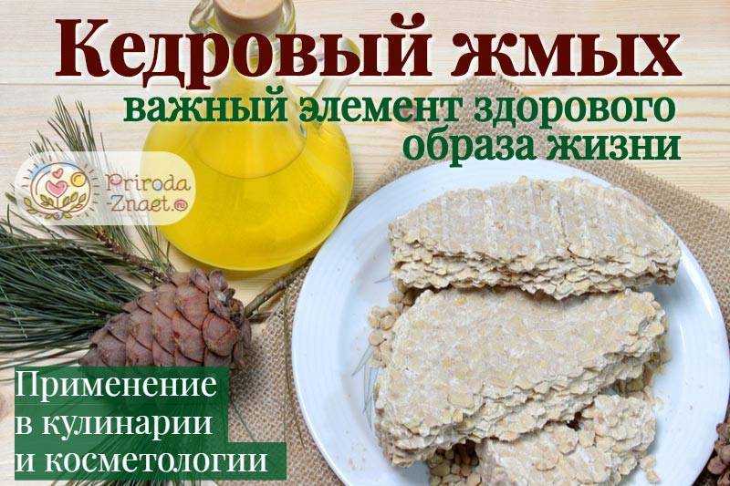 Жмых кедрового ореха: применение, рецепты, польза, отзывы