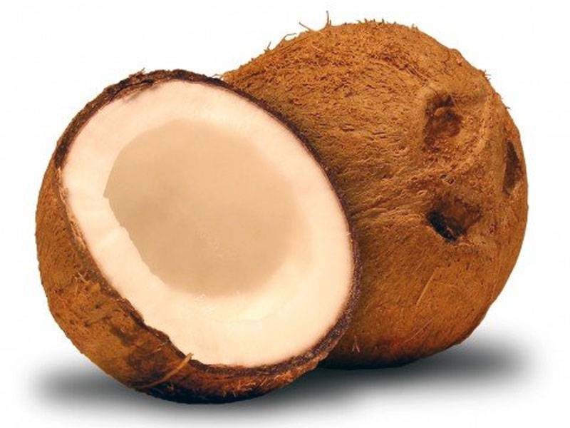 Чем полезен и чем вреден кокос для организма | польза и вред