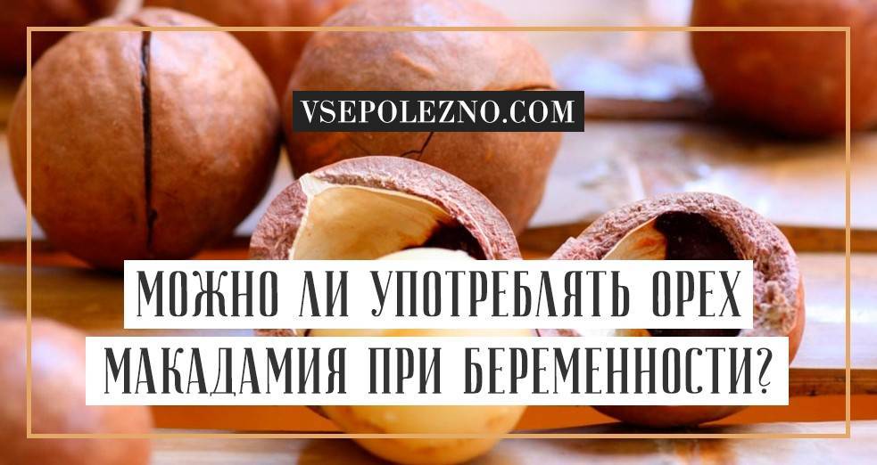 Орех макадамия – чем полезен и почему он сладкий на вкус - ppvkvadrate.ru