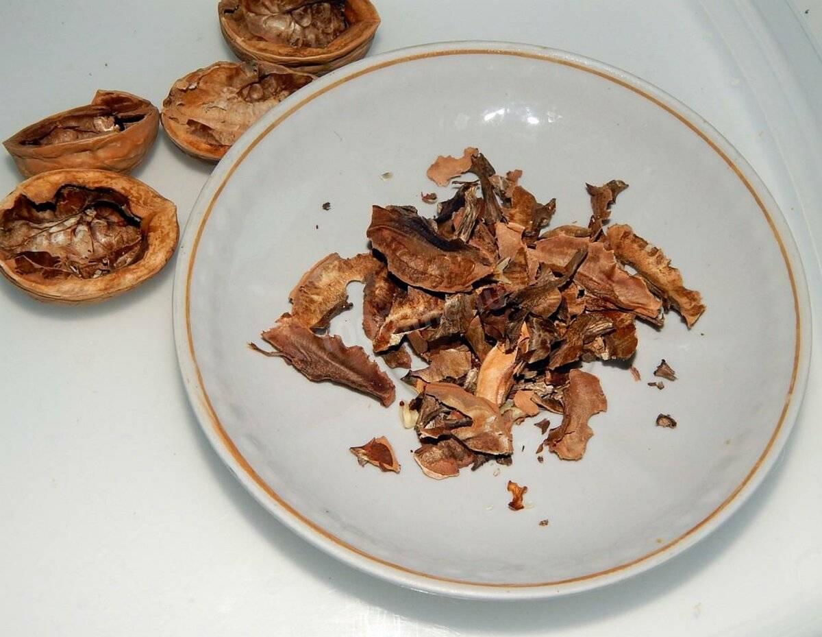 Делаем чудо-настойку на самогоне на перегородках грецкого ореха – универсальный рецепт