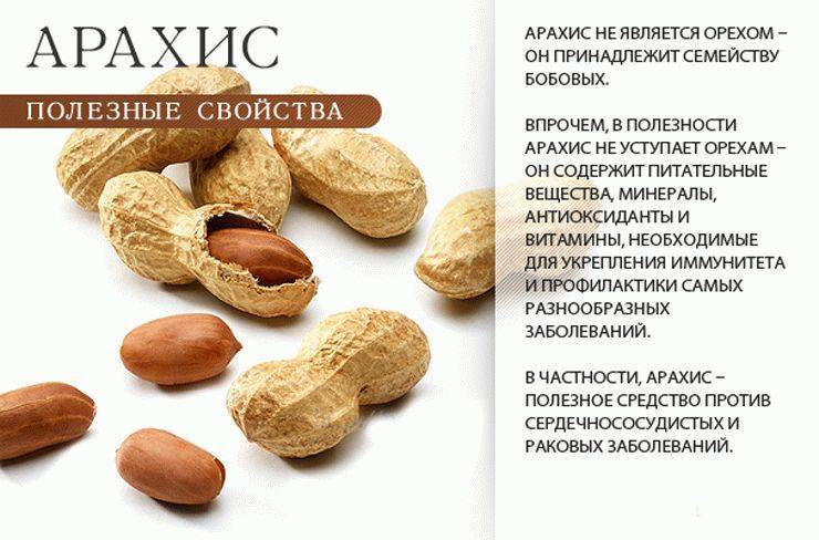 Польза грецких орехов для детского организма