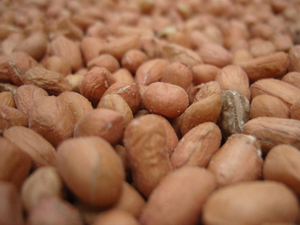 Арахис: польза и вред, приготовление, особенности применения орешков для женщин