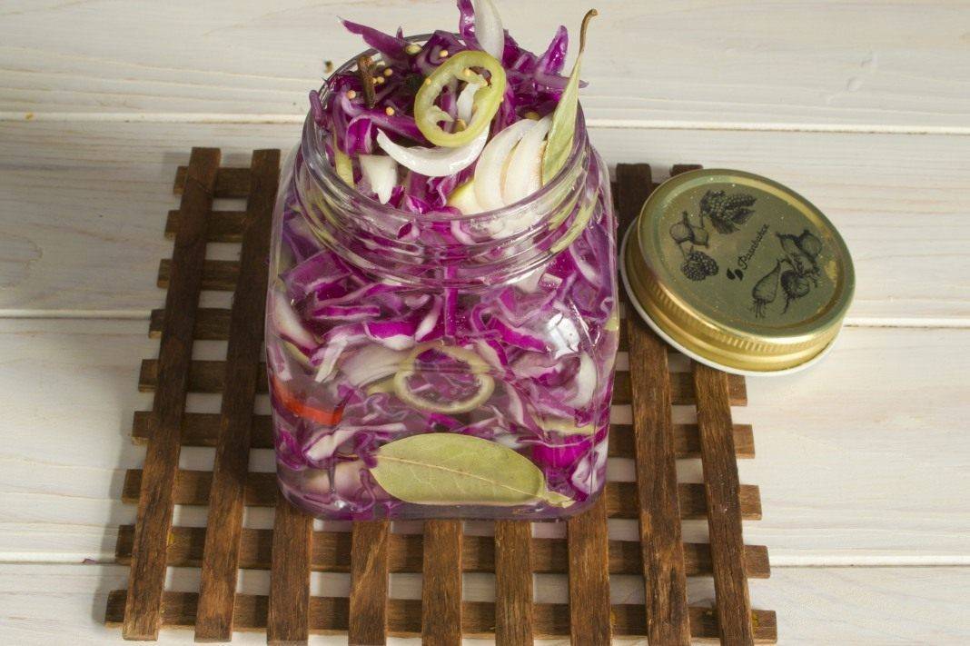 Салат на зиму из краснокочанной капусты – отличная и полезная закуска, украшающая любой стол: рецепты с фото и видео