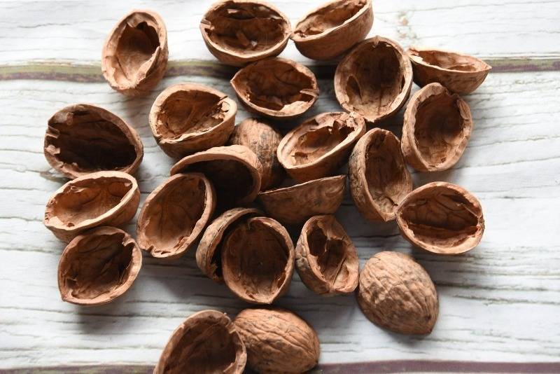 Польза и вред настойки на скорлупе грецких орехов. лечебные свойства, инструкция приготовления и иные советы