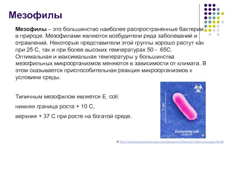 Микробиологический контроль производства консервов | pkl