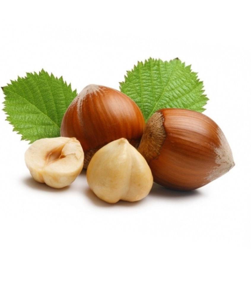 Лесной орех (фундук): польза и вред, применение, лечебные свойства