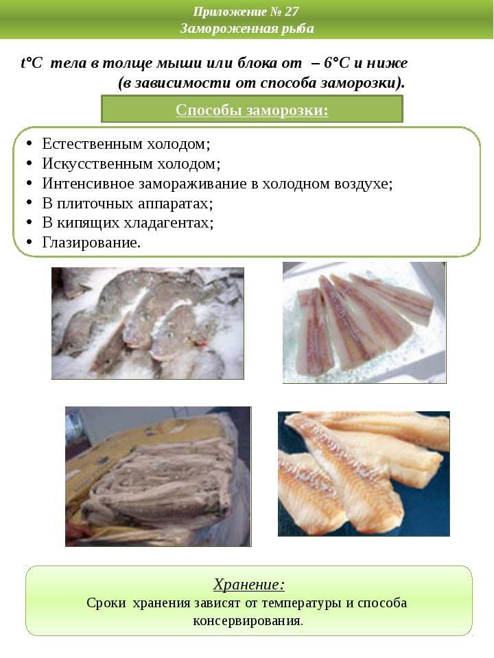 Технология приготовления полуфабрикатов из рыбы