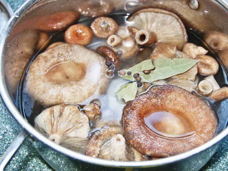 Как можно посолить грибы вкусно в домашних условиях: ингредиенты и рецепты, особенности засолки и советы