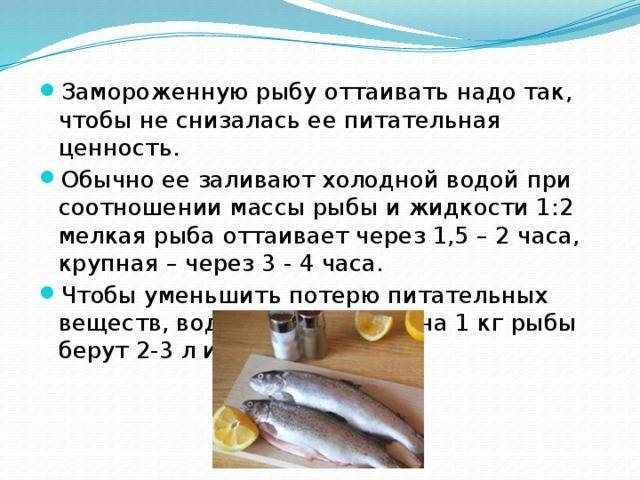 Лекции - холодильная обработка рыбных продуктов - файл 1.doc