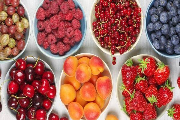 Пищевая ценность плодов, ягод и овощей и способы их хранения