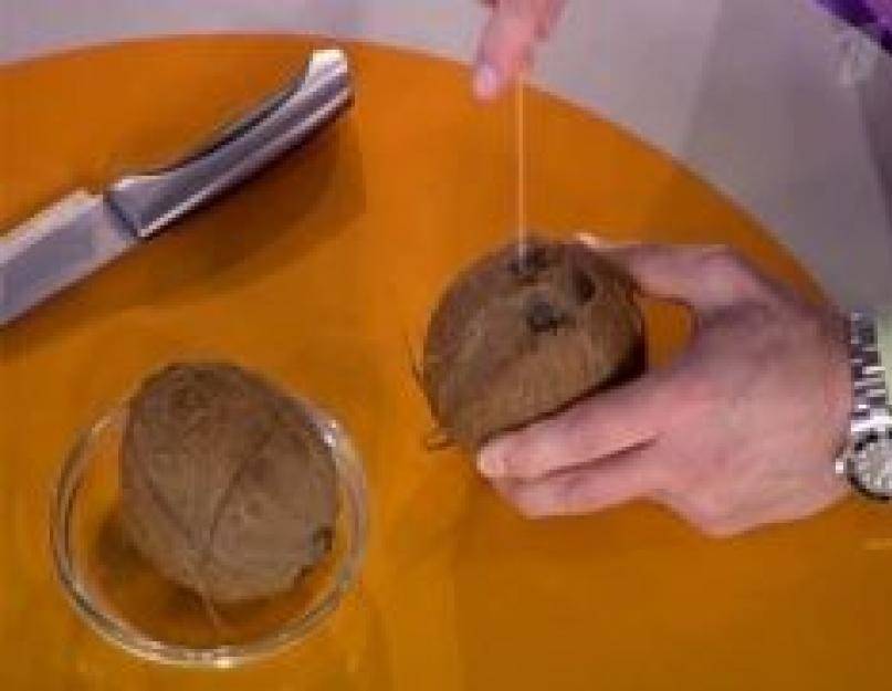 Как открыть кокос или его разбить в домашних условиях: правильные способы