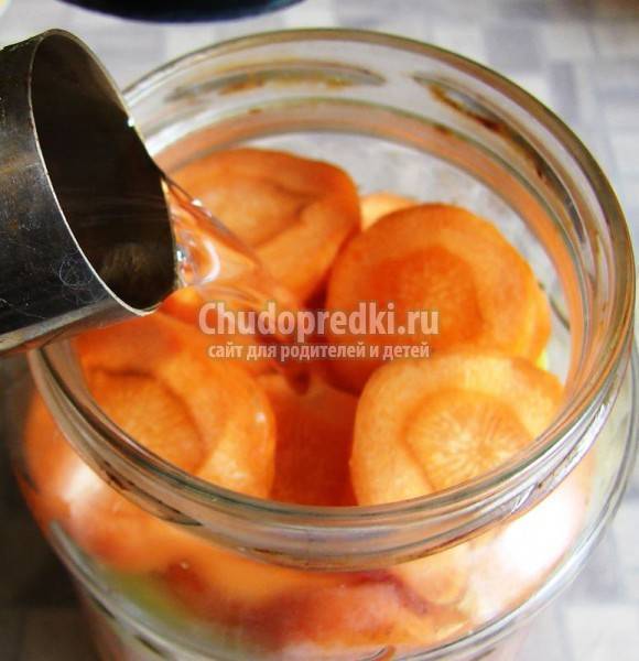 Кабачки, морковь и яблоки с медом, лимонником и яблочным соком «приговские». необычные рецепты заготовок