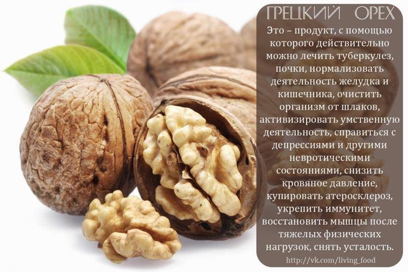 Самые полезные орехи для мужчин. есть ли вред и как употреблять?