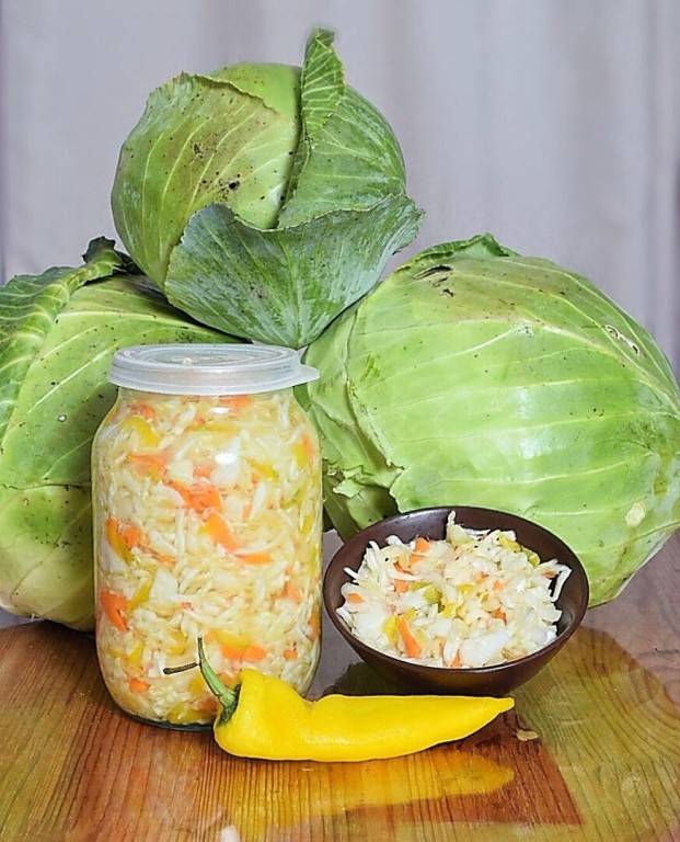 Как приготовить капусту «провансаль»? 35 фото: классические рецепты салата быстрого приготовления со свеклой и клюквой