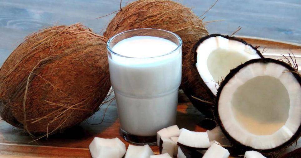 Польза и вред кокосового молока для организма