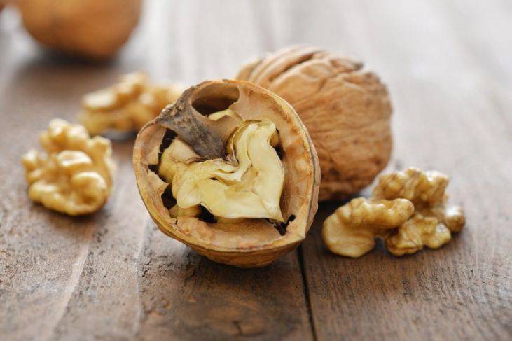 Лечебные свойства перегородок грецкого ореха — защита от йододифицита