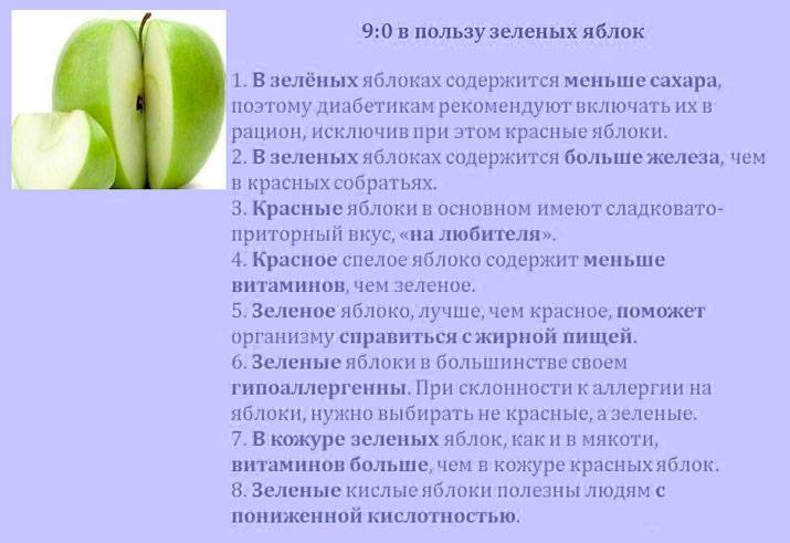 Яблоки – состав и польза для организма, вред и противопоказания