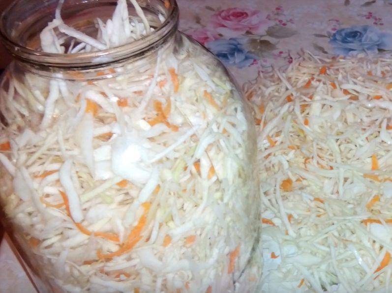 Как солить капусту в домашних условиях — быстрые и вкусные рецепты на зиму. инструкция, как правильно солить капусту на зиму в кастрюле с добавлением разных ингредиентов