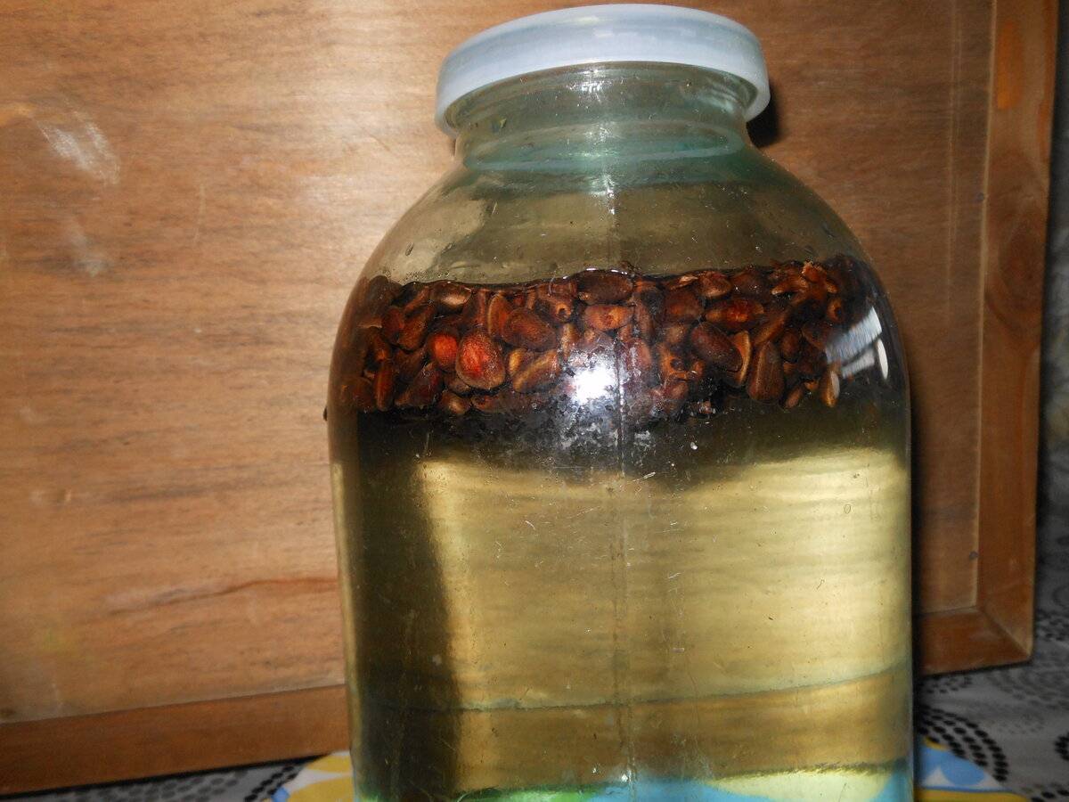 Самогон на кедровых орехах – рецепты на ядрах и скорлупе
