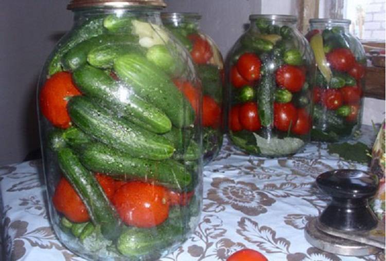 Огурцы в томатной заливке на зиму: обалденные рецепты без стерилизации