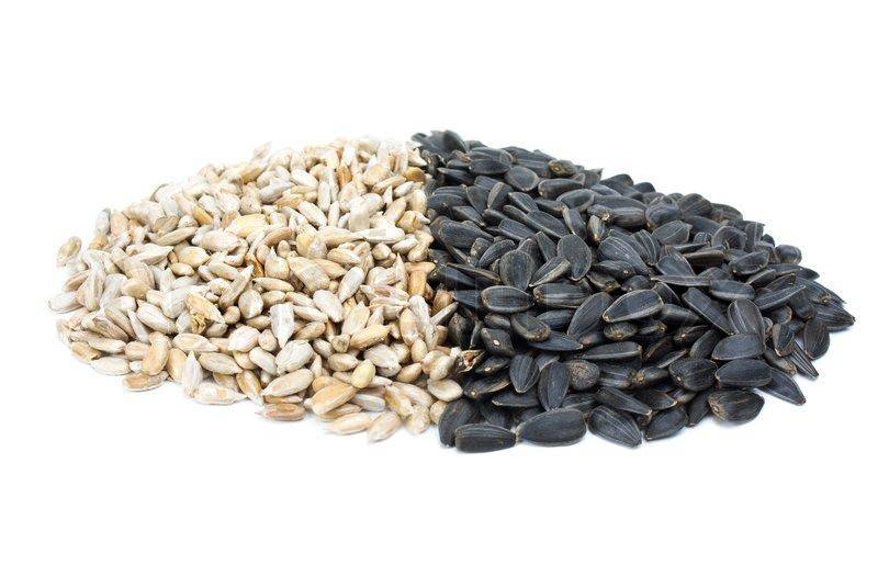 Чем полезны и вредны семена подсолнуха для здоровья — какая норма употребления в день