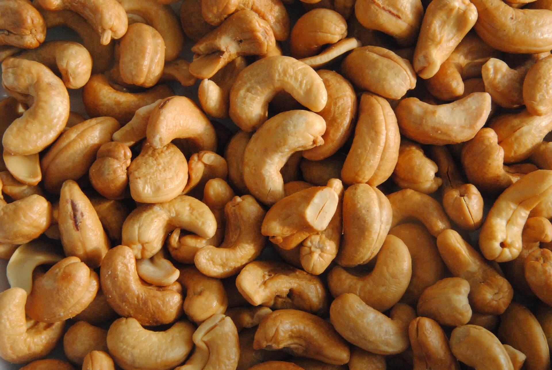 Орехи кешью: польза и вред для организма