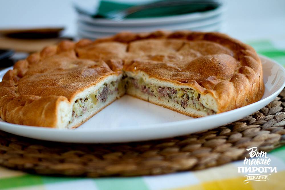 Пироги с мясом и картошкой в духовке и не только: 80 рецептов