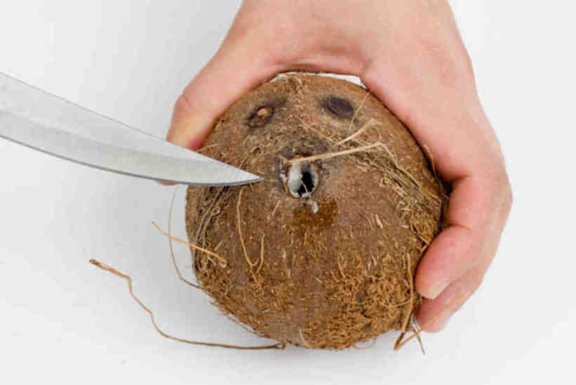 Как разбить кокос в домашних условиях