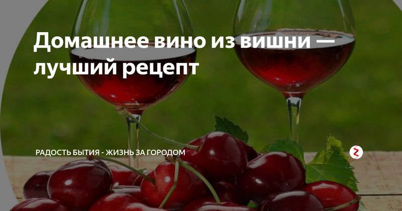 Вишневое вино из ягод - рецепты с косточками и без них