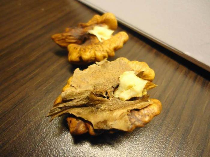 Перегородки грецкого ореха: польза и вред, лечебные свойства, применение
