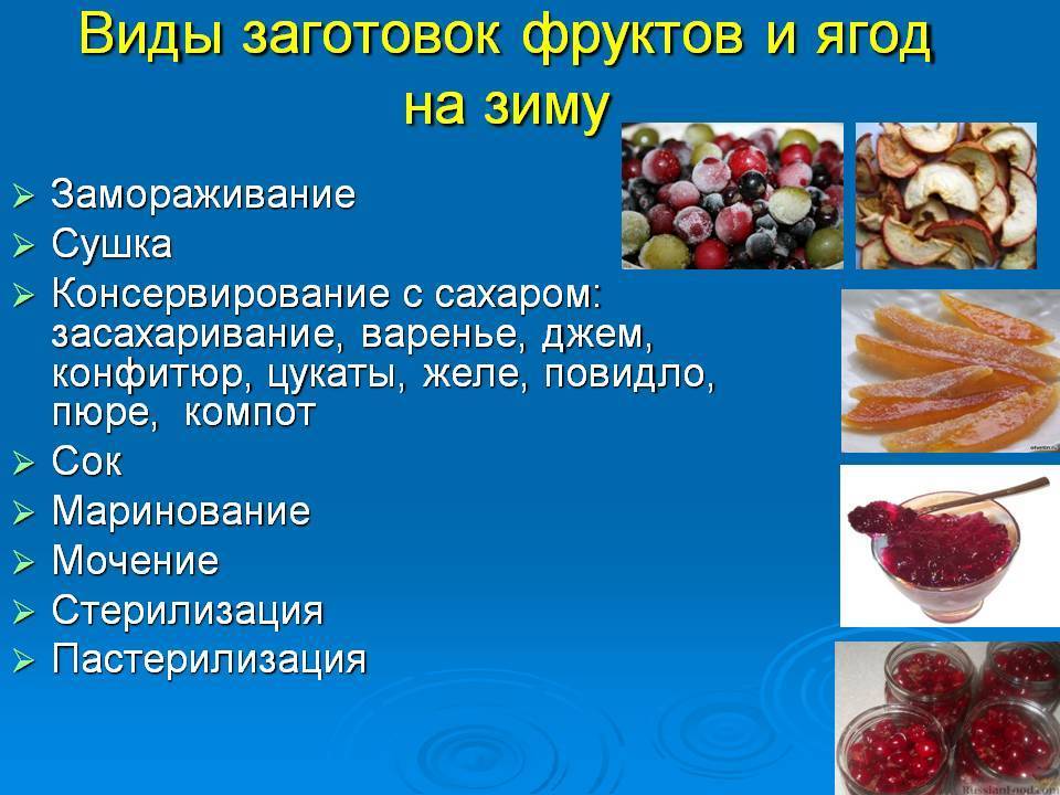 Способы и методы консервирования овощей и фруктов на зиму