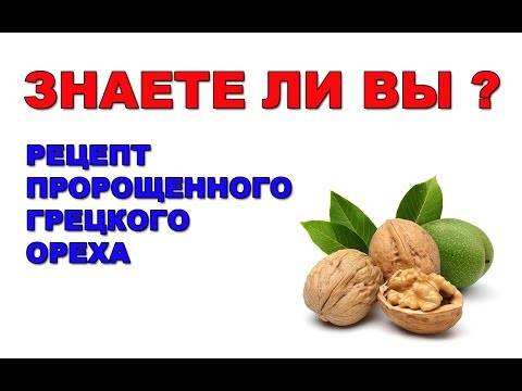Чем полезен грецкий орех для мужчин и женщин. свойства и состав, польза и вред грецкого ореха