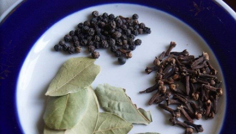 Черничный чай: польза, вред, заготовка сырья, рецепты напитка