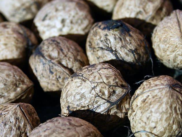 Как и когда собирать грецкий орех? полезные свойства. выращивание в крыму и на юге украины. рецепты варенья