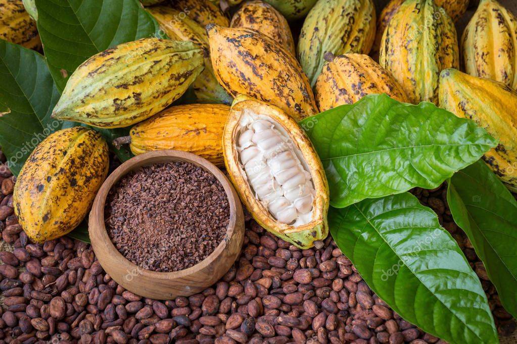 Что такое какао-продукты и где их купить.