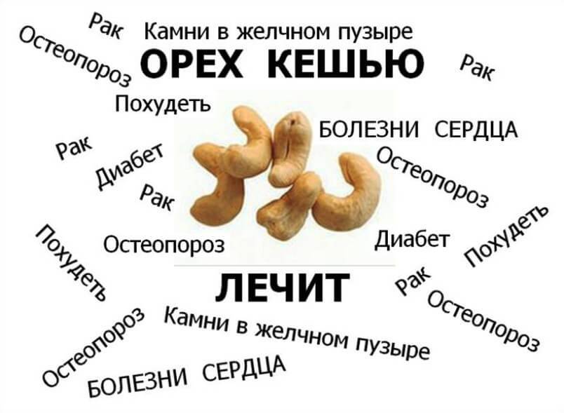 Чем полезны орехи кешью для организма человека - ppvkvadrate.ru