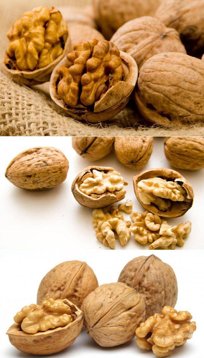 Роль орехов в рационе человека: полезные свойства и калорийность