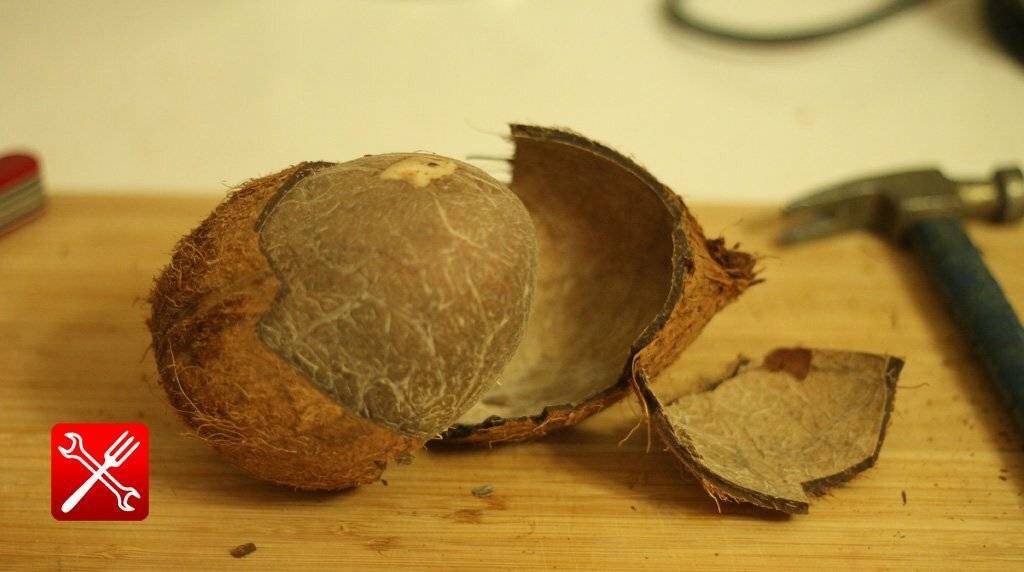 Как в домашних условиях открыть кокос, чем можно разбить, сломать, разрезать орех, как правильно его расколоть без молотка, как просто и легко разделать и почистить?