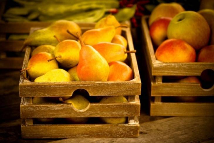 Как сохранить яблоки и груши свежими до нового урожая – дачные дела