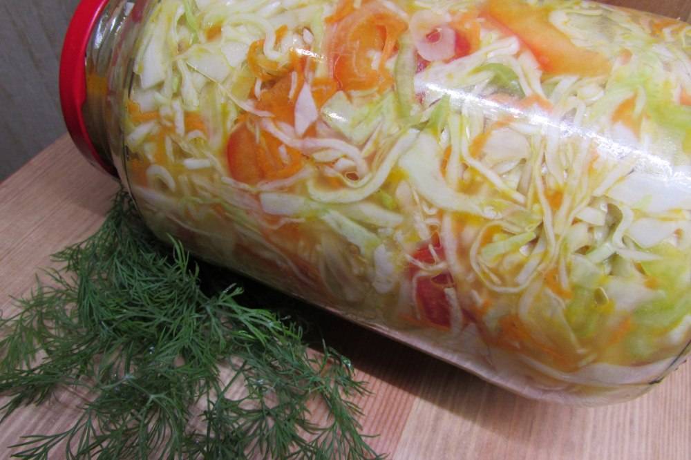 Салаты из свежей капусты - 17 простых и вкусных рецептов