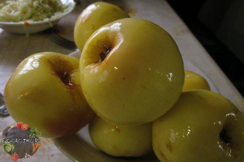 Моченые яблоки по старинному рецепту. | здоровое питание