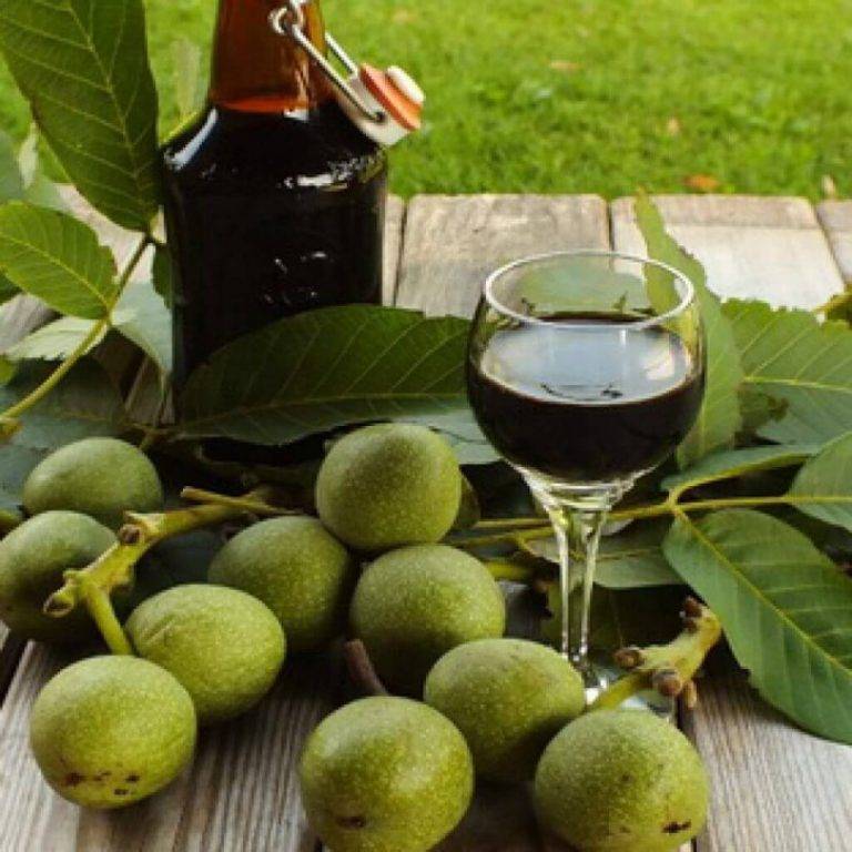 Настойка зеленого грецкого ореха на водке – применение, отзывы